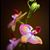 Barbara Boye Blake's profile image