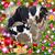 Jay Ambe Dairy Farm's profile image