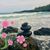 SanDra V Graul's profile image