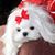 Linda Padgett Creel's profile image