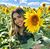 Melody Safa Chaaban's profile image