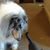 Beth Hughes's profile image