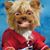 Anthony Bates's profile image