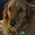 Patricia Morgan's profile image