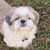 Katherine Corley's profile image