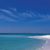Lisa Wilkins's profile image