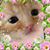 Flo Dollman's profile image