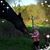 Lisa Hetrick's profile image