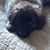 Shannon Hendrickson's profile image