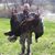 Nick Witruk's profile image
