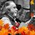 Norm Siegel's profile image