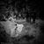 Alaya Heather Crystal's profile image