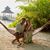 Stormie Sandhu's profile image