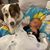 Amanda Shofner Graves's profile image