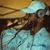 John Pierre Jr.'s profile image