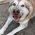 Mandy Nelson's profile image