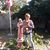 Beverly Hawker's profile image