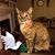 Judy Butler Mullins's profile image