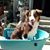 Terri Marsala's profile image