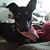 Barbara Hughes's profile image