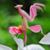 Jane Lucas-Robinson's profile image