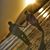 Melisa Cheatwood Rankin's profile image