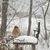 Cindy Mishler's profile image