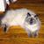 Rita Knisely's profile image