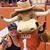 Darby Tobolka's profile image