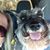 Kimberly Taylor's profile image