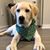 Lola Cook's profile image