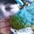 DorothyJane McCabe's profile image