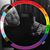 Matthew Lawson's profile image
