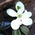 Beatrice Elias's profile image