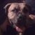 James Schreiber's profile image