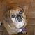 Michele Huffmaster's profile image
