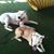 Nichole Russell Taylor's profile image