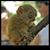 Laura Condry- Willets's profile image