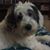 Rachel Piche's profile image