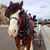 Sheena Hughes's profile image