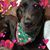 Kathleen Wilson's profile image