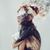 Staci Hall's profile image