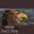 Rene Reedy Horton's profile image
