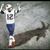 Mike Revelli's profile image