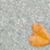 Deb Hicks's profile image