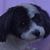 June Carter's profile image