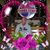 Bridget George Caton's profile image
