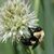 Teri Standiford's profile image