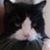 Barb Cathey's profile image
