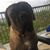 Jennifer Shaver's profile image